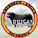 Aberdeen-Angus Garrisan